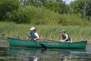 Two girls paddling by the marsh.